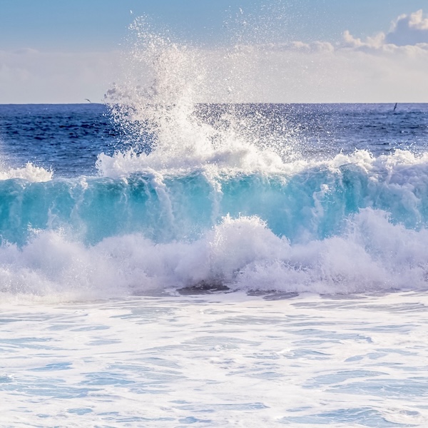 Comment se transformer dans les « Années Turbulences » ?